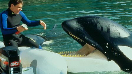 Six Of The Greatest Animal Actors Of All Time Bbc Bitesize