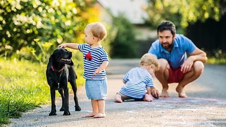 Kids playing hot sale with pets