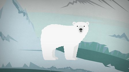 What is a polar habitat? - BBC Bitesize