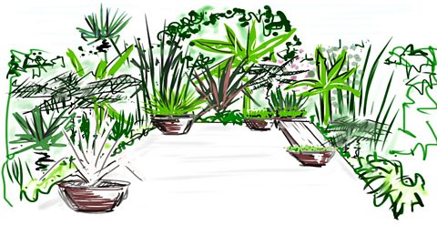 BBC Two - Gardeners' World, 2013, Episode 3