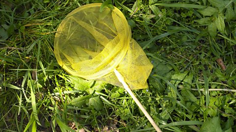 High angle view of butterfly net on grass