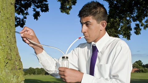 a student uses a pooter - a jar with 2 straws. one straw is placed on the animal and the other is sucked. The animal will be sucked into the jar