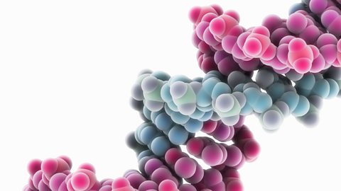 Synthetic DNA molecule showing two strands