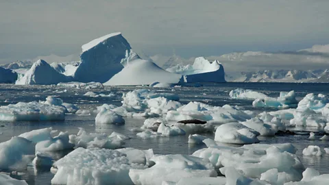 The Documentary Podcast, Antarctic Midwinter Broadcast 2025