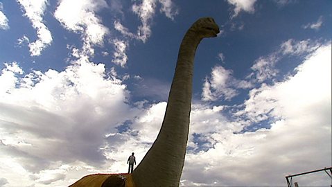 biggest dinosaur Steve how many dinosaurs are in the country biggest dinosaur Steve how many dinosaurs are in the country