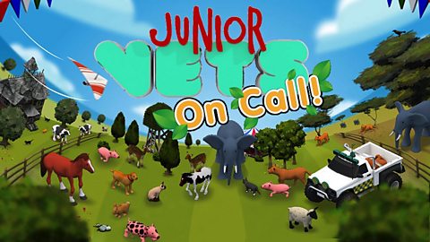 Junior Vets On Call Cbbc Bbc