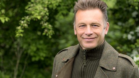 packham iplayer alliance