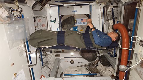 An astronaut sleeps suspended in a sleeping bag attached to the inner walls of the ISS.