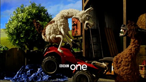 BBC One - The Farmer's Llamas