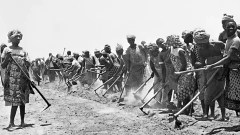 Witness History, Witness History, Tanzania's socialist experiment