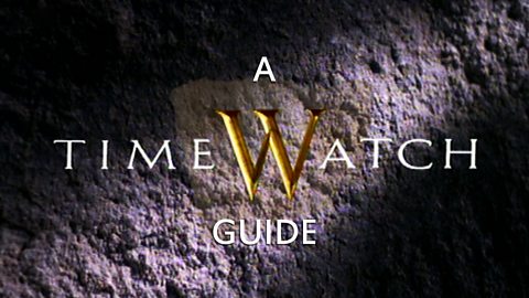 A Timewatch Guide