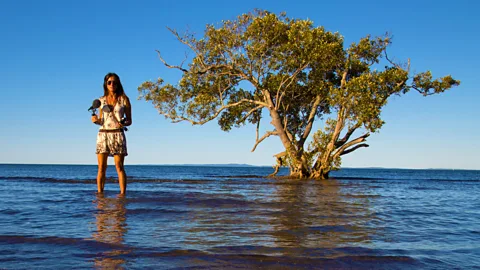 Costing the Earth, Costing the Earth, Sinking Solomon Islands