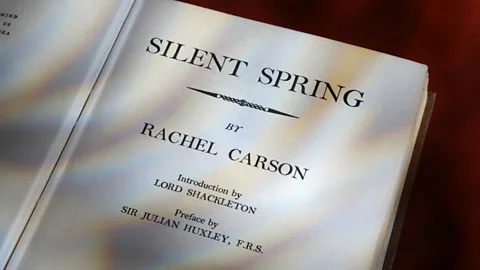 Witness History, Witness History, Silent Spring: A book that changed the world