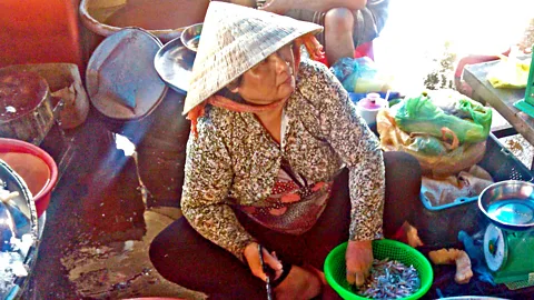 Costing the Earth, Costing the Earth, Mekong Delta Blues
