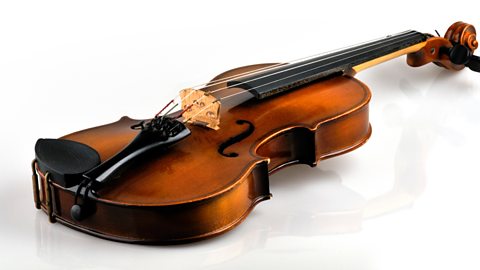 A violin.