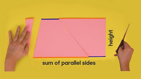 An image showing the parallel lines of the parallelogram 