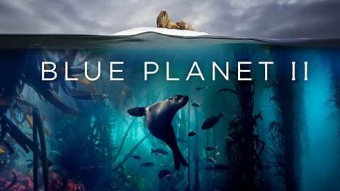 blue planet ii show image