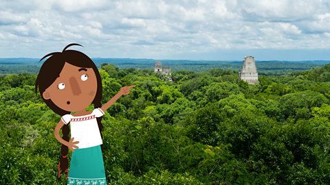 Jade pointing at the jungle surrounding the ancient city of Tikal.