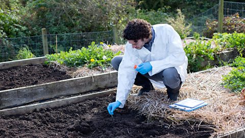 A scientist taking a soil sample.