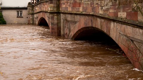 A river with high water level