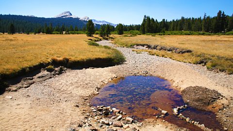 A dried up river bed