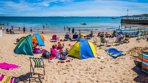 People sunbathing on a beach