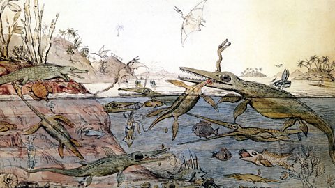 Drawing of Mary Anning's findings in their habitat