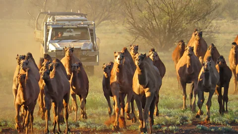 Costing the Earth, Costing the Earth, Outback Outrage