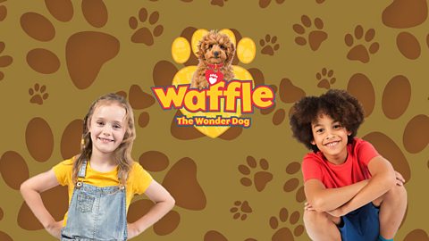 waffle dog puzzle