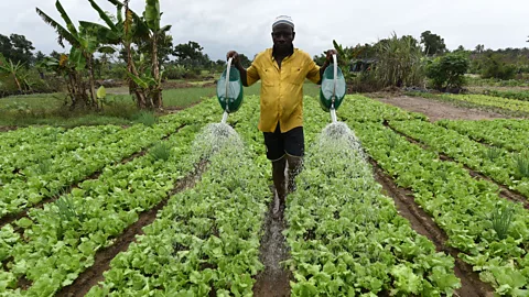 The Documentary Podcast, Is Eating Plants Wrong?