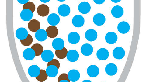 Coffee molecules start to spread through the hot water