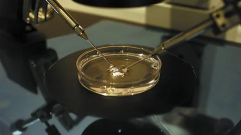 The Documentary Podcast, The New World Of Reproduction