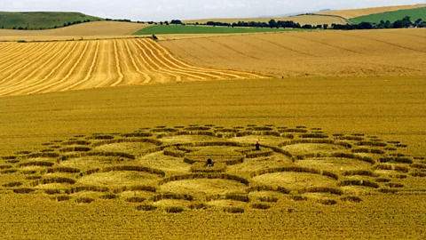 Witness History, Witness History, The Truth About Crop Circles