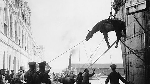 Allied cavalry troops horse lowered down in a sling onto the quayside in Salonika Greece 1915