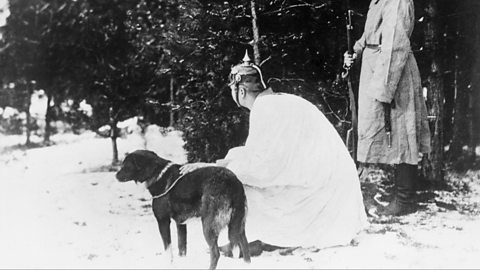 A German scout dog in a field during World War One