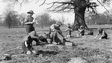 A photograph of boy scouts in a park setting rabbit traps during World War One