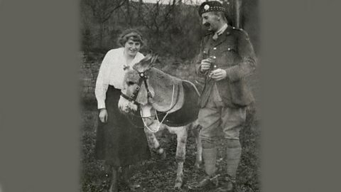 Jimmy the World War One donkey in a forest with a soldier and a woman