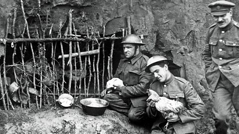 ww1 trenches rats