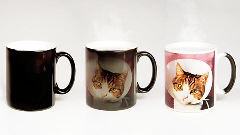 Three mugs displayed in a line - two have a cat's face on them showing colour change.