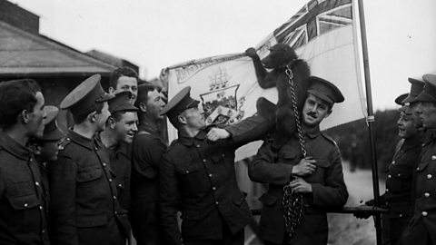 South African soldiers stationed at Bexhill in October 1915 with their baboon mascot