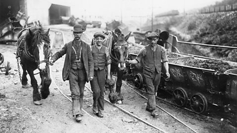 Three miners with pit ponies in the early 1900s