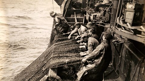 Fishermen dragging in their haul of fish in the North Sea in the early 1900s