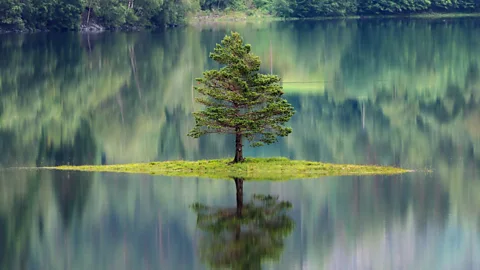 The Documentary Podcast, A life alone