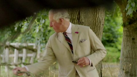 BBC One - Prince, Son and Heir: Charles at 70, Trailer - Prince, Son