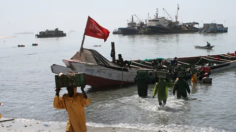 The Documentary Podcast, West Africa’s Fish Famine