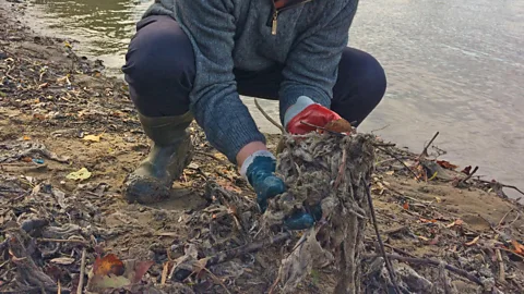 Costing the Earth, Costing the Earth, March of the Wet Wipes