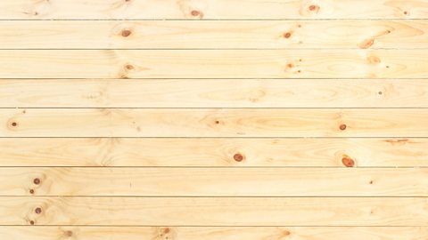 The texture of pine wood - very pale planks with a spattering of darker knots.