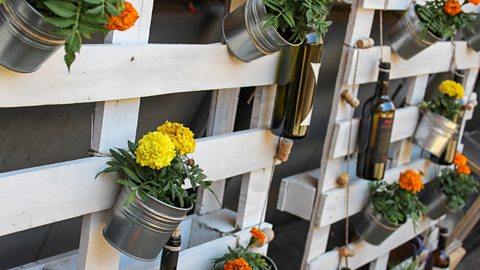 Wooden pallets reused as fence panels for hanging a variety of flowers from.