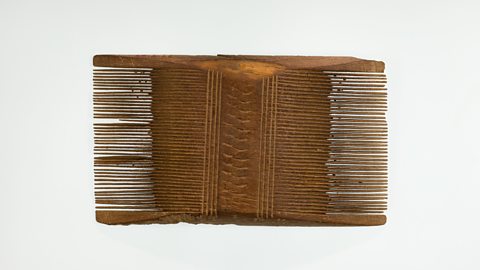 Just like a modern comb, these were used for brushing hair. Combs could be made of different materials. Some combs were made of hippopotamus ivory!