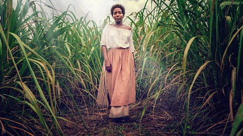 the long song review the long song review